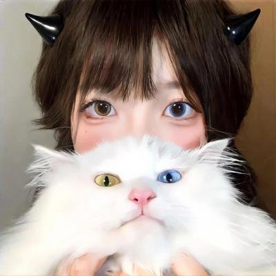 最游记 RELOAD ZEROIN