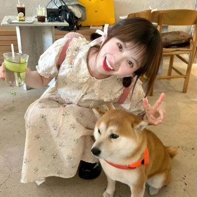 反抗之真心英雄